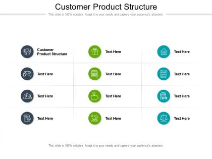 Customer product structure ppt powerpoint presentation summary tips cpb