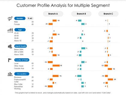 Customer profile analysis for multiple segment