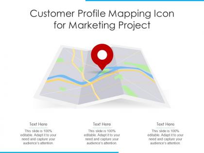 Customer profile mapping icon for marketing project