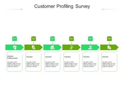 Customer profiling survey ppt powerpoint presentation show portrait cpb