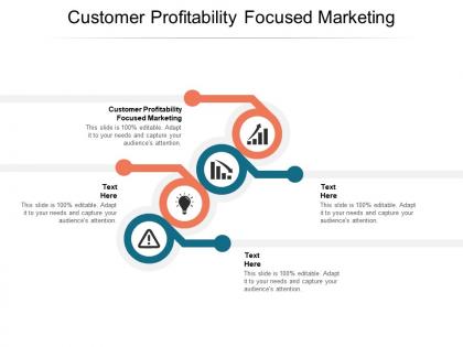 Customer profitability focused marketing ppt powerpoint presentation outline cpb