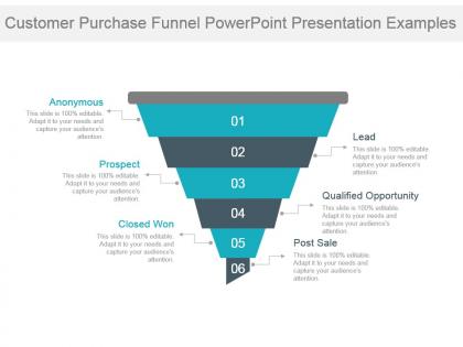 Customer purchase funnel powerpoint presentation examples