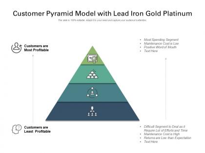 Customer pyramid model with lead iron gold platinum