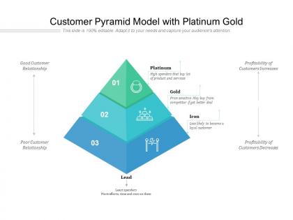 Customer pyramid model with platinum gold