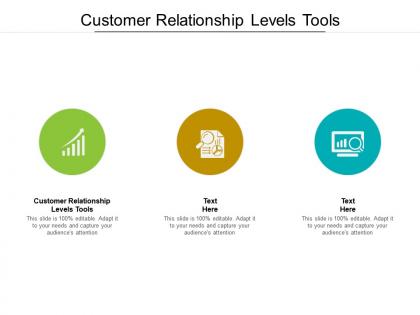 Customer relationship levels tools ppt powerpoint presentation professional templates cpb