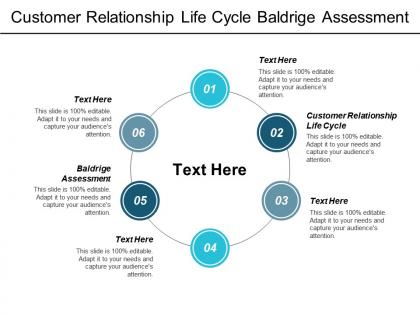 Customer relationship life cycle baldrige assessment key positions cpb