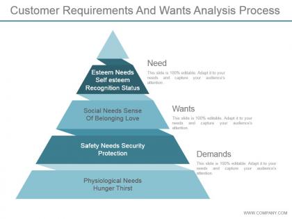 Customer requirements and wants analysis process powerpoint slide