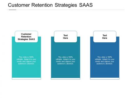 Customer retention strategies saas ppt powerpoint presentation model cpb