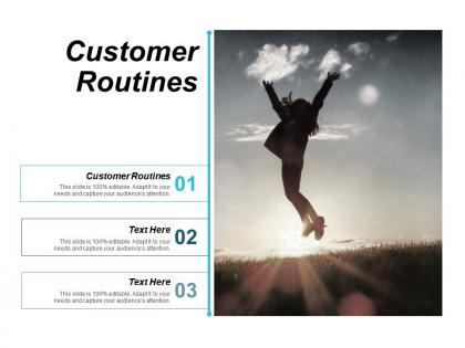 Customer routines ppt powerpoint presentation slides download cpb
