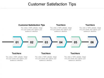 Customer satisfaction tips ppt powerpoint presentation styles portfolio cpb