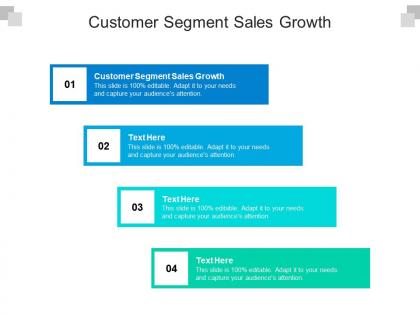 Customer segment sales growth ppt powerpoint presentation professional example file cpb