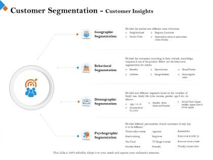 Customer segmentation customer insights below are ppt powerpoint presentation slides