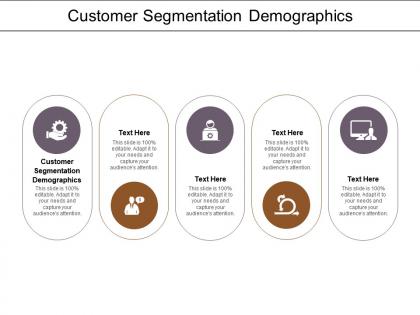 Customer segmentation demographics ppt powerpoint presentation show maker cpb