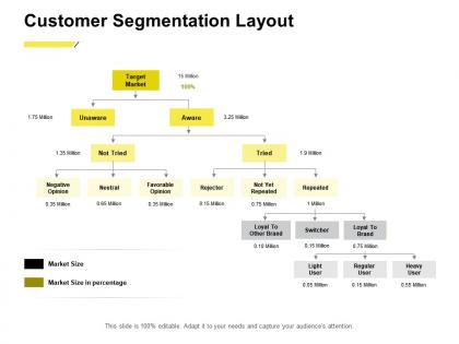 Customer segmentation layout ppt powerpoint presentation gallery clipart