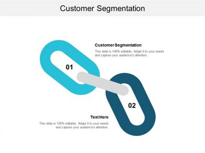 Customer segmentation ppt powerpoint presentation file format ideas cpb