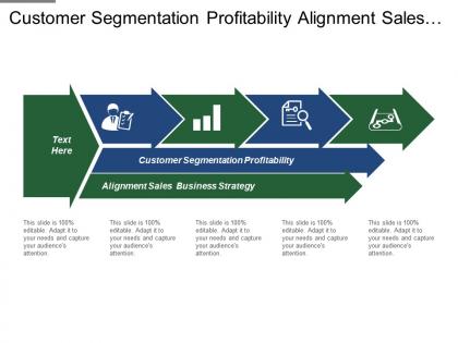 Customer segmentation profitability alignment sales business strategy