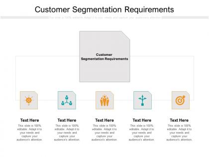 Customer segmentation requirements ppt powerpoint presentation portfolio graphics cpb