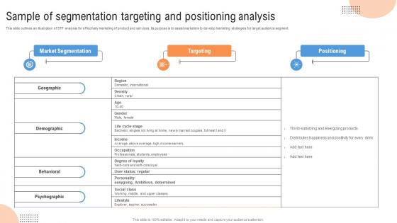 Customer Segmentation Sample Of Segmentation Targeting And Positioning Analysis MKT SS V