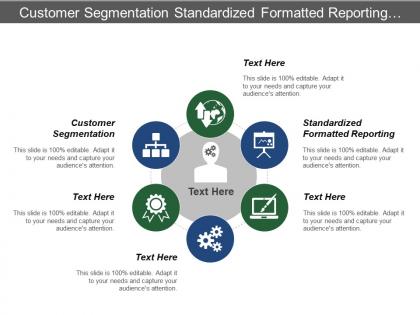 Customer segmentation standardized formatted reporting data processing analysis
