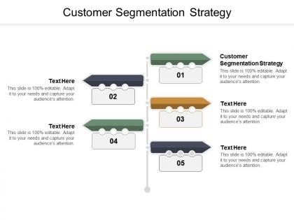 Customer segmentation strategy ppt powerpoint presentation file graphics example cpb