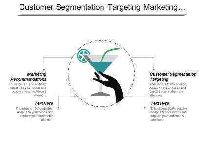 Customer segmentation targeting marketing recommendations marketing performance executive reporting cpb