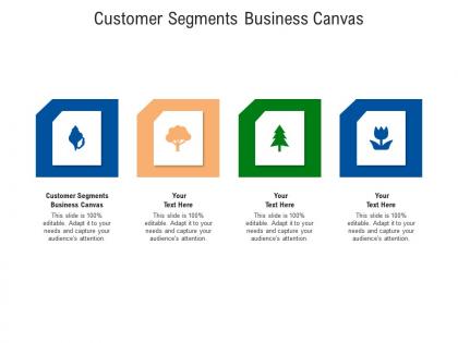 Customer segments business canvas ppt powerpoint presentation outline slides cpb