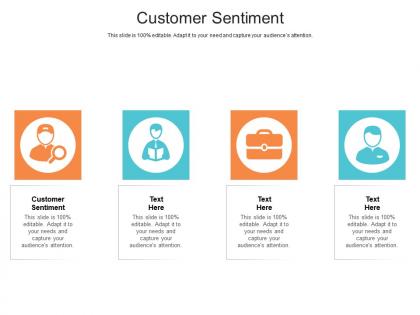 Customer sentiment ppt powerpoint presentation professional structure cpb