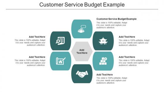 Customer Service Budget Example Ppt Powerpoint Presentation Inspiration Slide Download Cpb