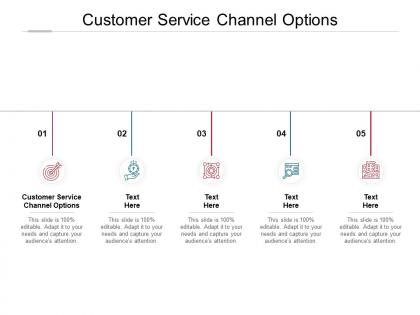 Customer service channel options ppt powerpoint presentation slides cpb