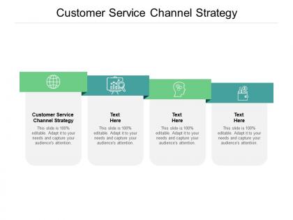 Customer service channel strategy ppt powerpoint presentation portfolio cpb