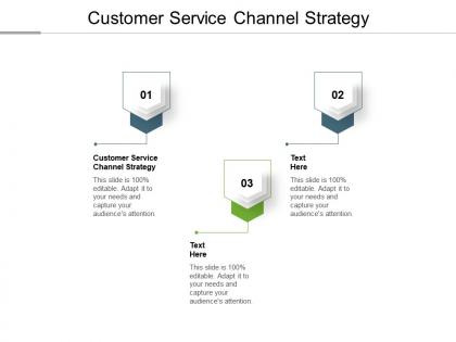 Customer service channel strategy ppt powerpoint presentation slides icons cpb