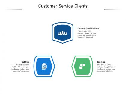 Customer service clients ppt powerpoint presentation inspiration icon cpb