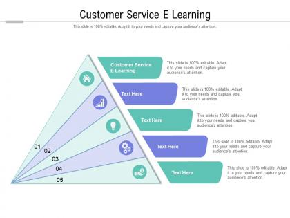 Customer service e learning ppt powerpoint presentation shapes cpb