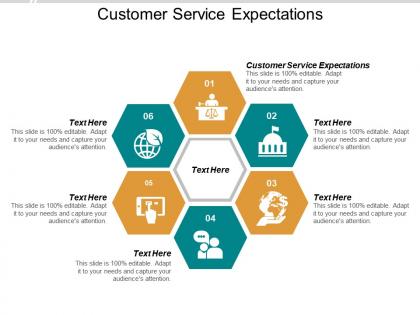 Customer service expectations ppt powerpoint presentation ideas elements cpb