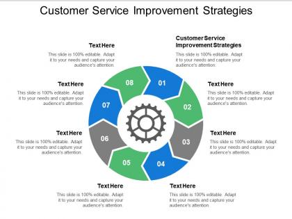 Customer service improvement strategies ppt powerpoint presentation professional designs cpb