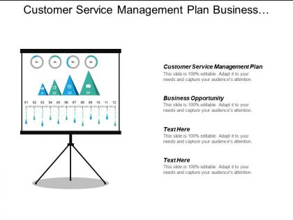 Customer Service Management Plan Business Opportunity Sales Marketing Cpb