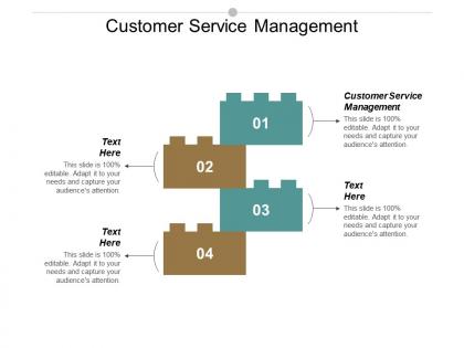 Customer service management ppt powerpoint presentation model layouts cpb