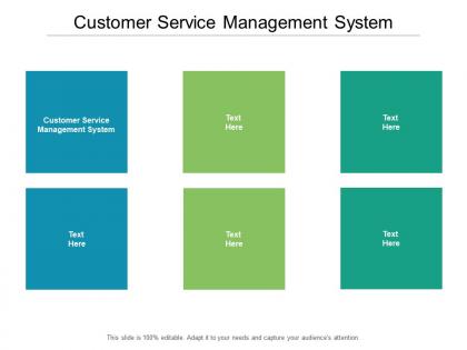 Customer service management system ppt powerpoint presentation layout cpb