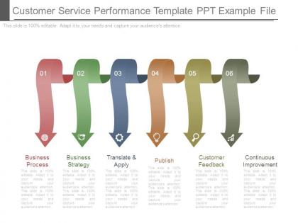 Customer service performance template ppt example file
