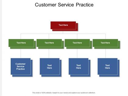 Customer service practice ppt powerpoint presentation portfolio maker cpb