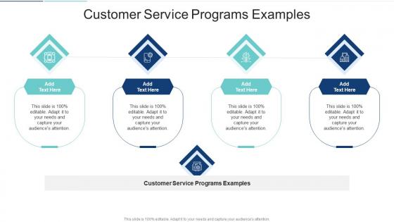 Customer Service Programs Examples In Powerpoint And Google Slides Cpb
