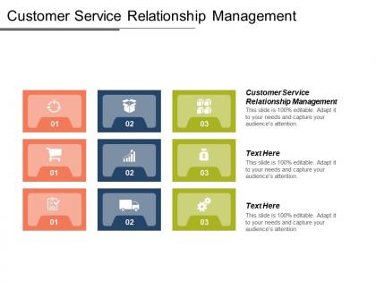 Customer service relationship management ppt powerpoint presentation icon file formats cpb
