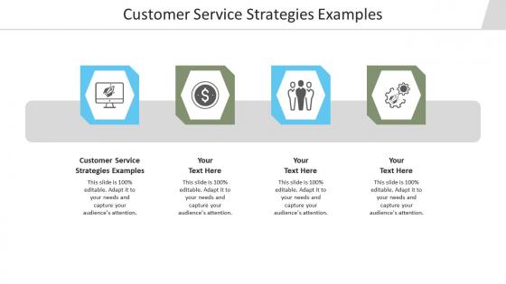 Customer service strategies examples ppt powerpoint presentation icon model cpb