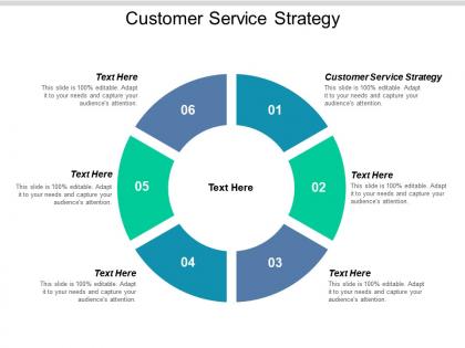 Customer service strategy ppt powerpoint presentation icon influencers cpb