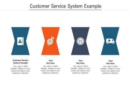 Customer service system example ppt powerpoint presentation outline introduction cpb