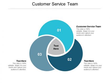 Customer service team ppt powerpoint presentation icon template cpb