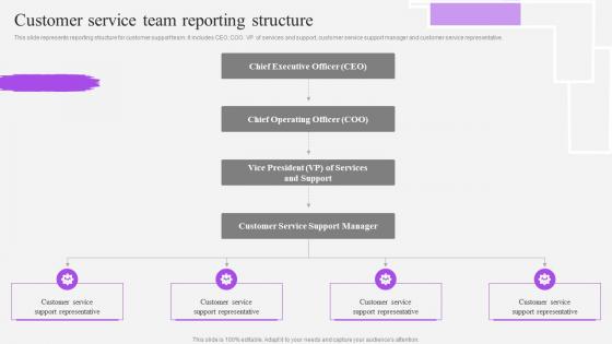 Customer Service Team Reporting Structure Customer Support Service Ppt Background