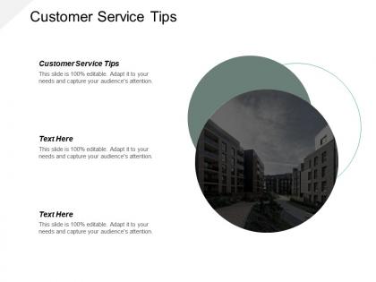 Customer service tips ppt powerpoint presentation infographic template portfolio cpb