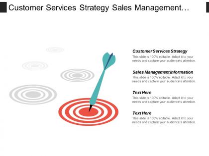 Customer services strategy sales management information organizational change cpb