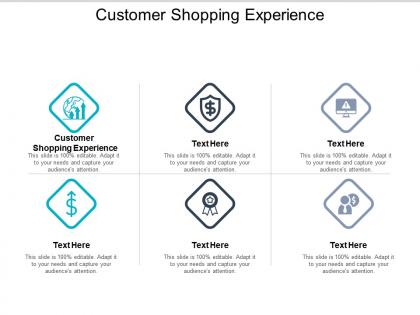 Customer shopping experience ppt powerpoint presentation file example introduction cpb